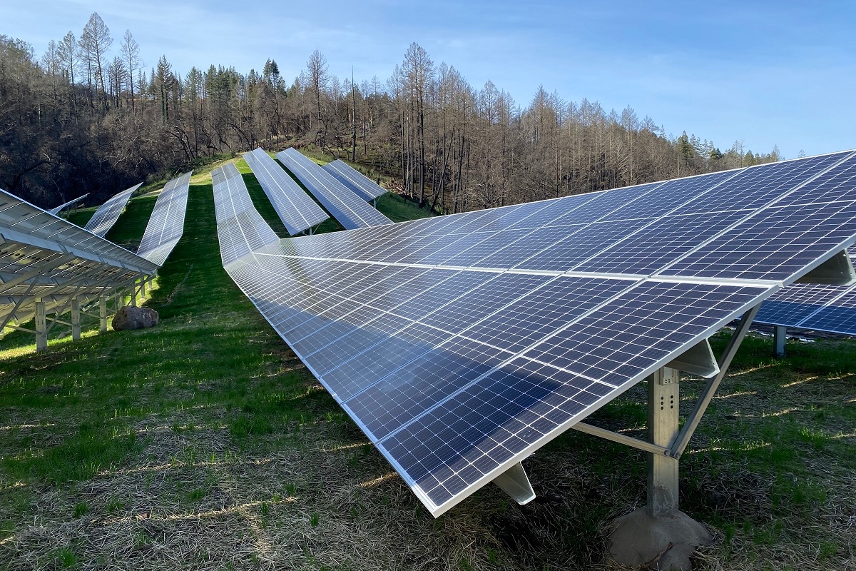 Castello Winery Solar Panels